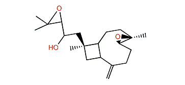 4,14-Diepoxyxeniaphyllenol A
